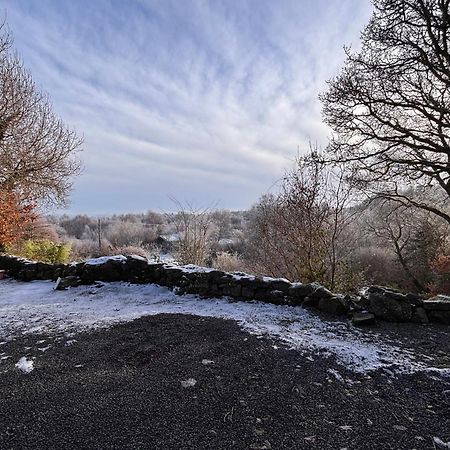 Sligo Forest Retreat Екстериор снимка