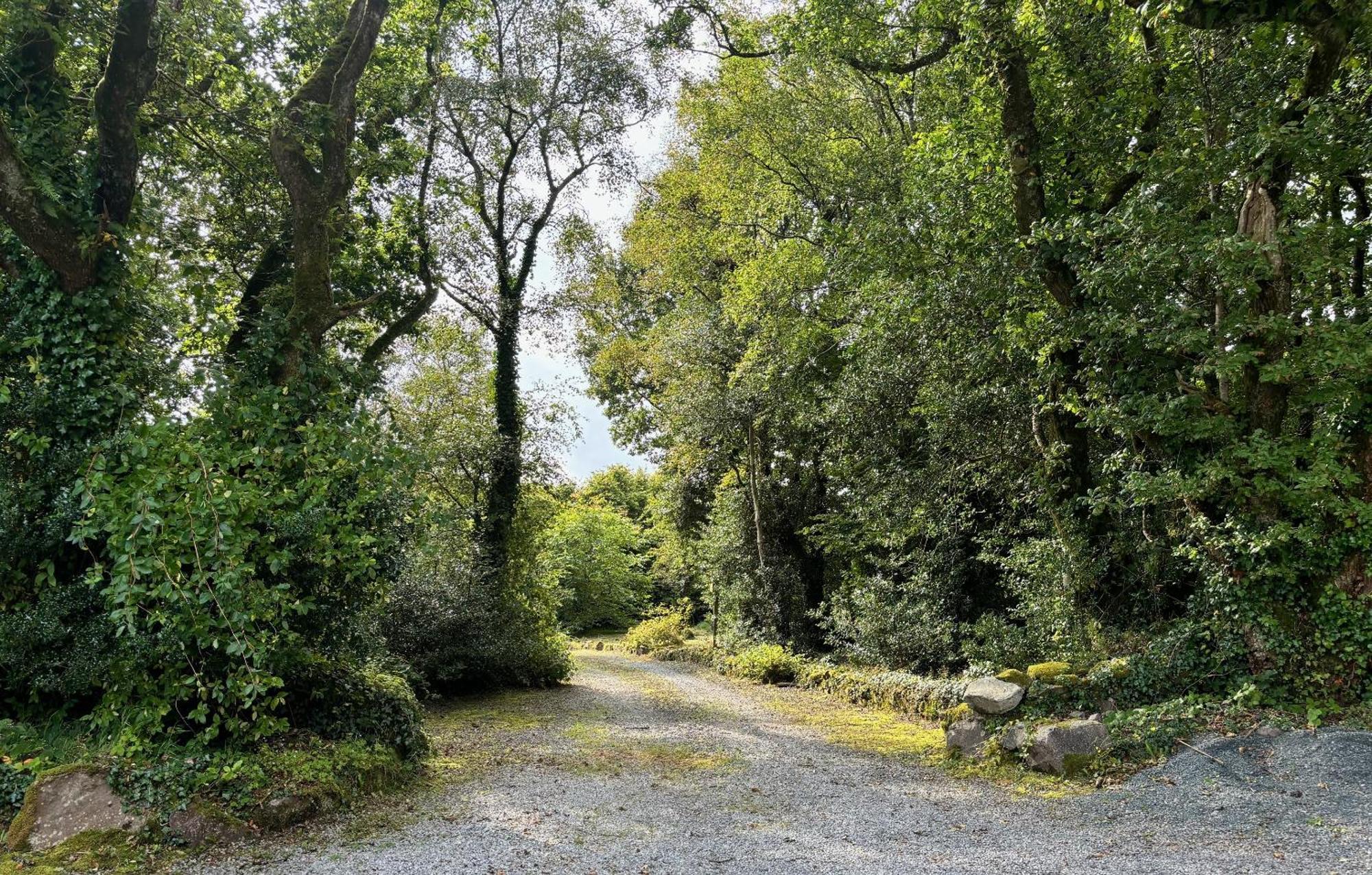Sligo Forest Retreat Екстериор снимка