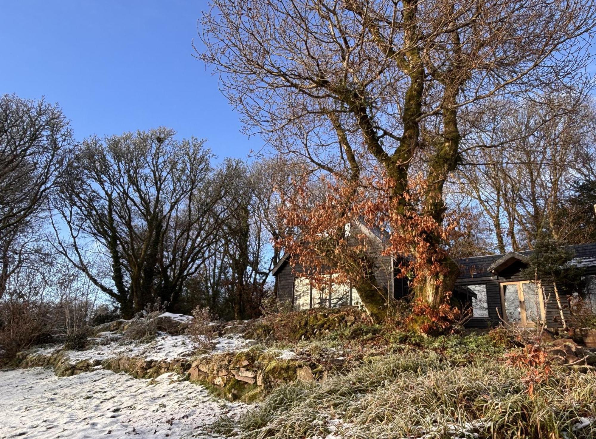 Sligo Forest Retreat Екстериор снимка